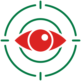 vision